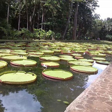 Auberge Etiennette Trou d'Eau Douce Bagian luar foto